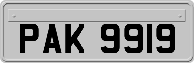 PAK9919