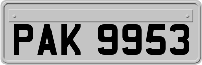 PAK9953
