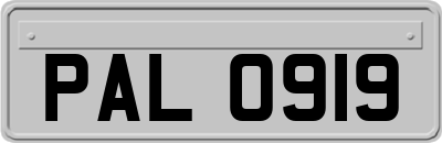 PAL0919