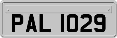 PAL1029