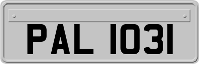 PAL1031