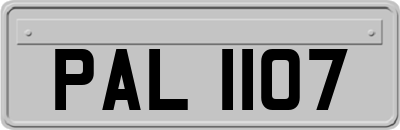 PAL1107