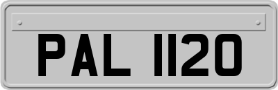 PAL1120