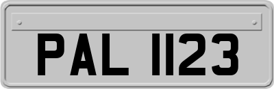 PAL1123