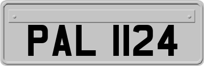 PAL1124
