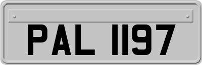 PAL1197