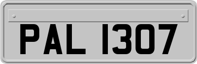 PAL1307
