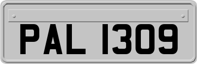 PAL1309