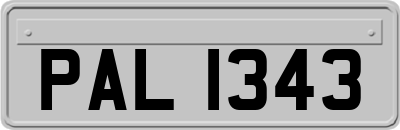 PAL1343
