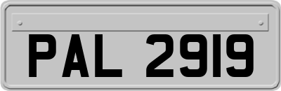 PAL2919