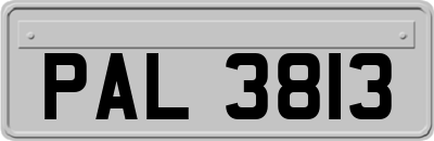 PAL3813