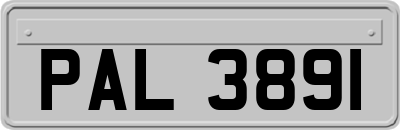PAL3891