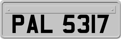 PAL5317