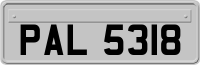 PAL5318