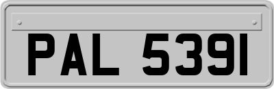 PAL5391