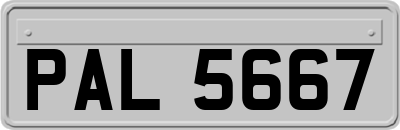 PAL5667