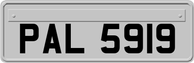 PAL5919
