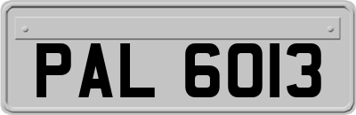 PAL6013