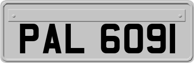 PAL6091