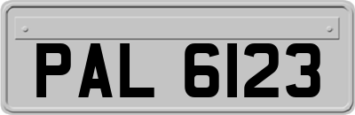 PAL6123