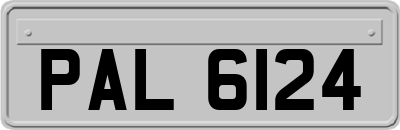 PAL6124