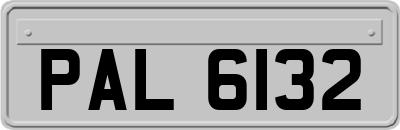 PAL6132