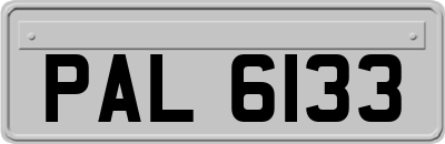 PAL6133