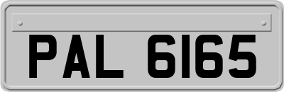 PAL6165