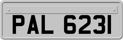 PAL6231