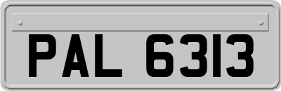 PAL6313