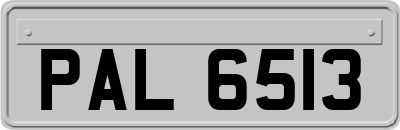 PAL6513