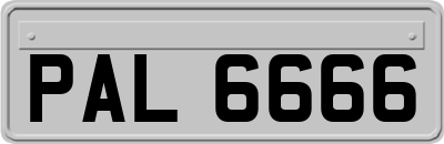 PAL6666