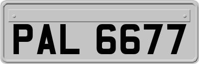 PAL6677