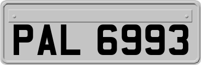 PAL6993