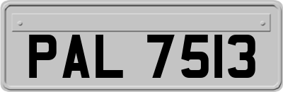 PAL7513