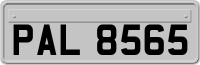 PAL8565