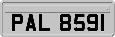 PAL8591