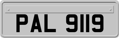 PAL9119
