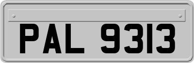 PAL9313