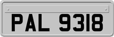 PAL9318