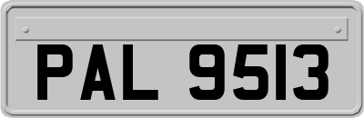PAL9513