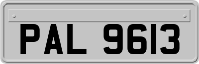 PAL9613