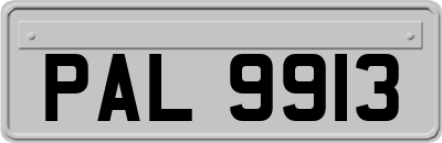 PAL9913