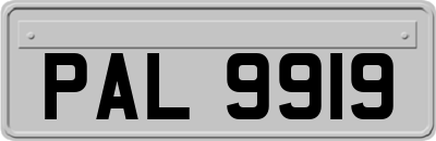 PAL9919