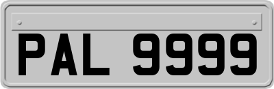 PAL9999