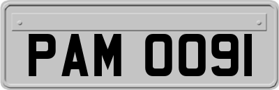 PAM0091