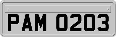 PAM0203