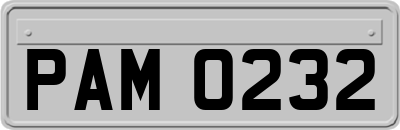 PAM0232
