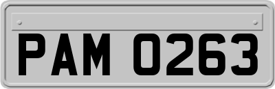 PAM0263