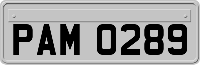PAM0289